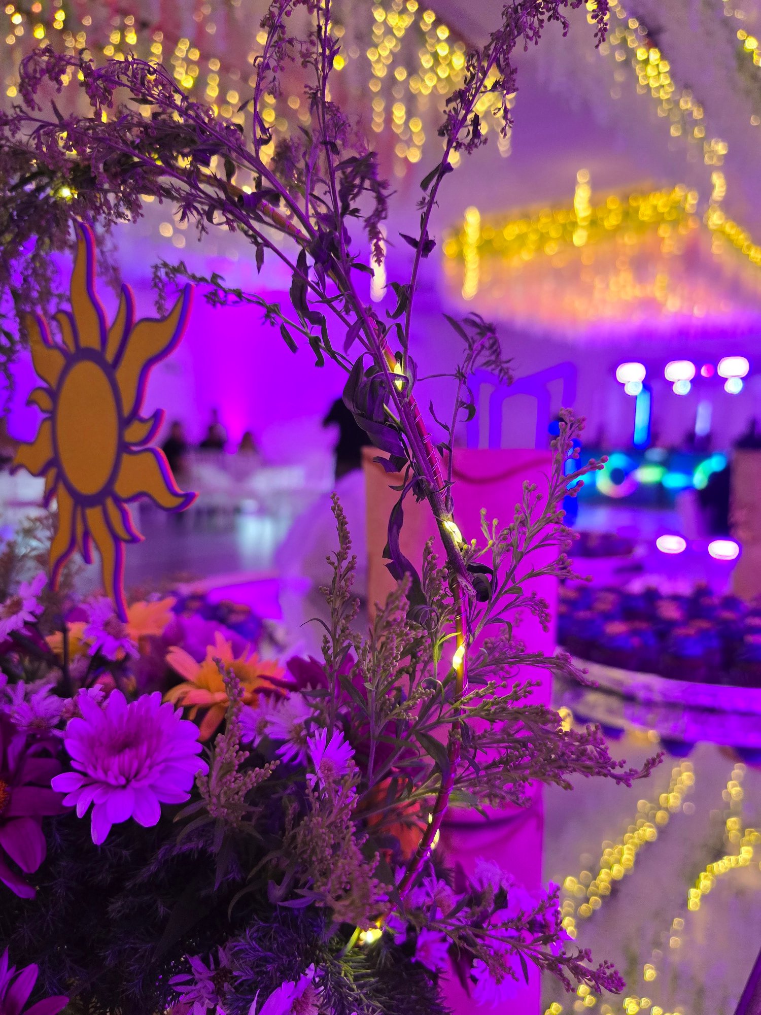 Bodas en Villa León