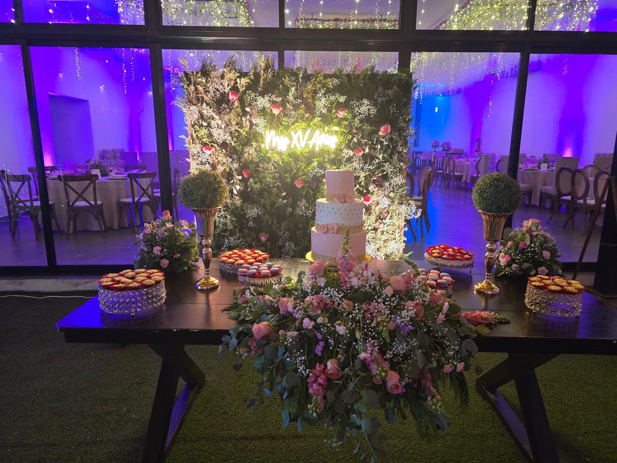 XV Años en Villa León